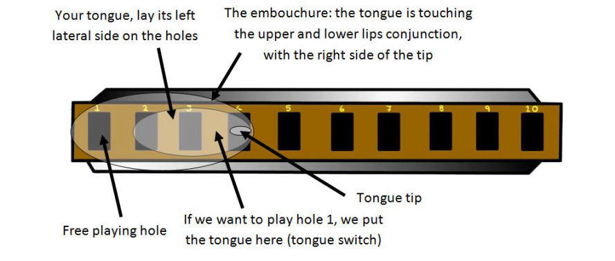 Tongue blocking: Posizione della lingua per suonare il foro 1