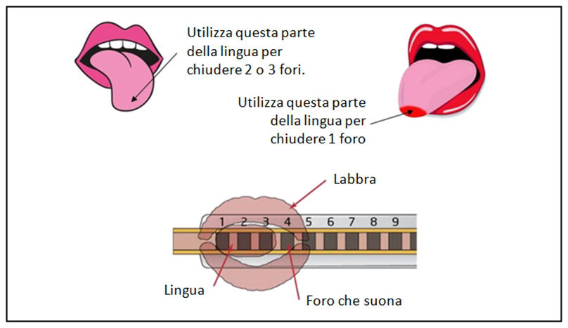 Utilizzo della lingua per suonare l'armonica col tongue blocking
