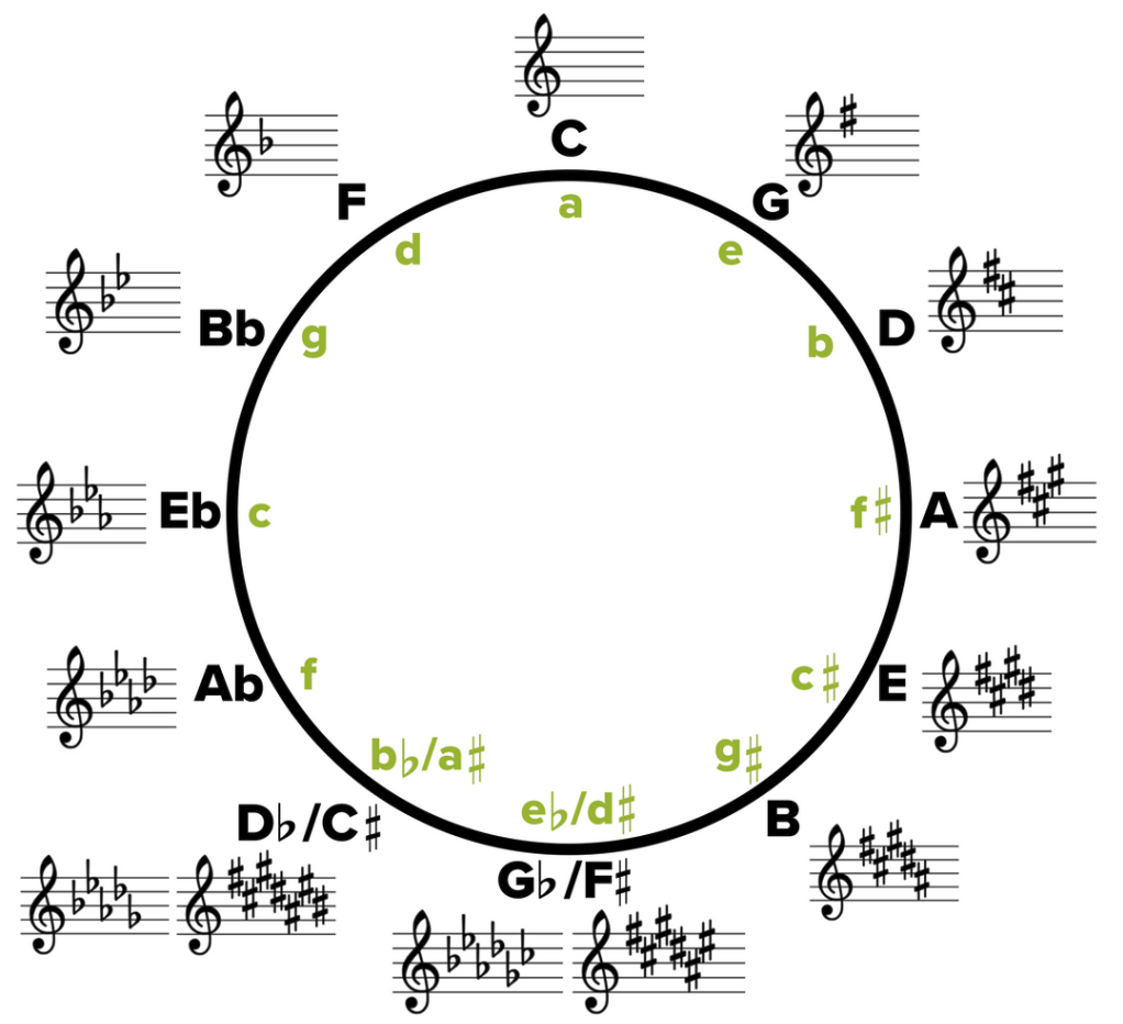 Il ciclo delle quinte e le posizioni per armonica