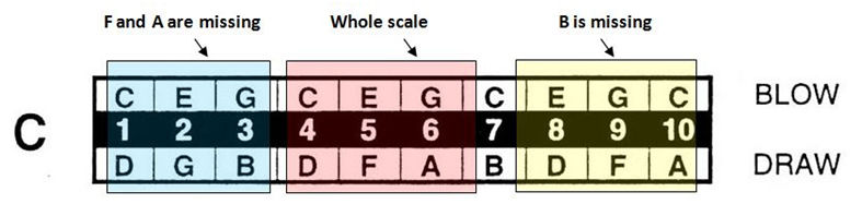 Harmonica sections