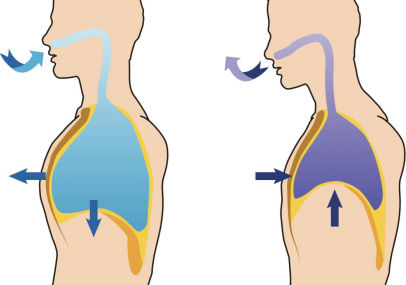 The correct breathing for harmonica playing