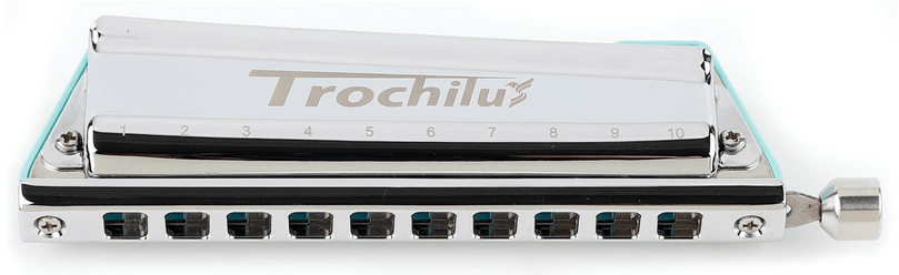 Armonica Trochilus